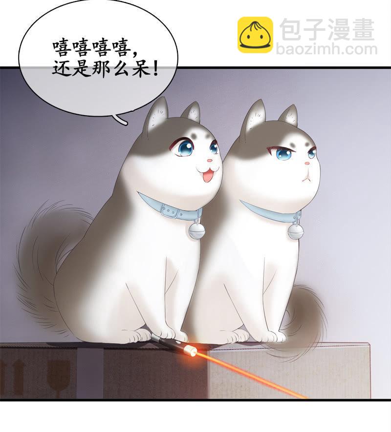 喵咪同伴出现啦~(1/2)-第15话