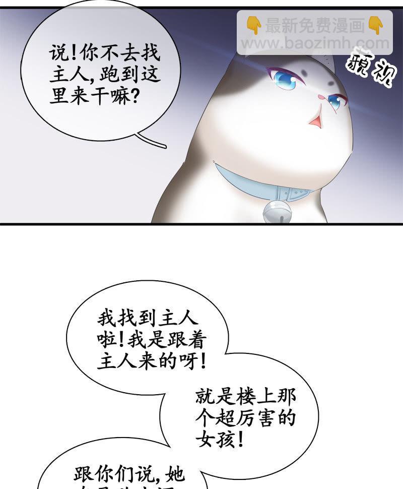 喵咪同伴出现啦~(1/2)-第15话