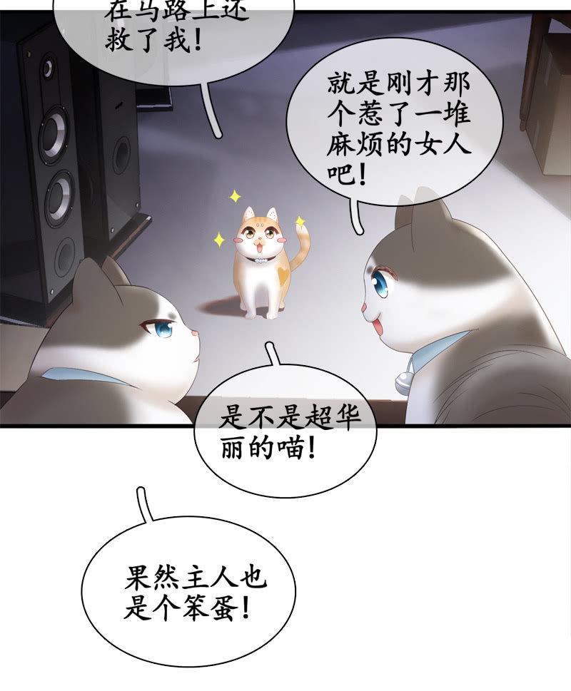 喵咪同伴出现啦~(1/2)-第15话