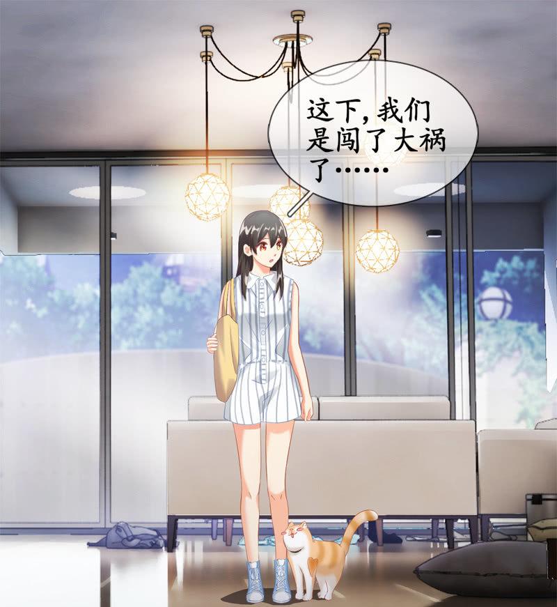 喵咪同伴出现啦~(1/2)-第15话