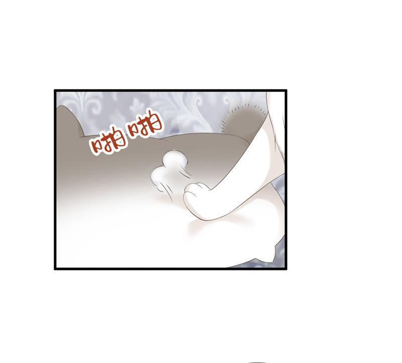 喵咪同伴出现啦~(1/2)-第15话