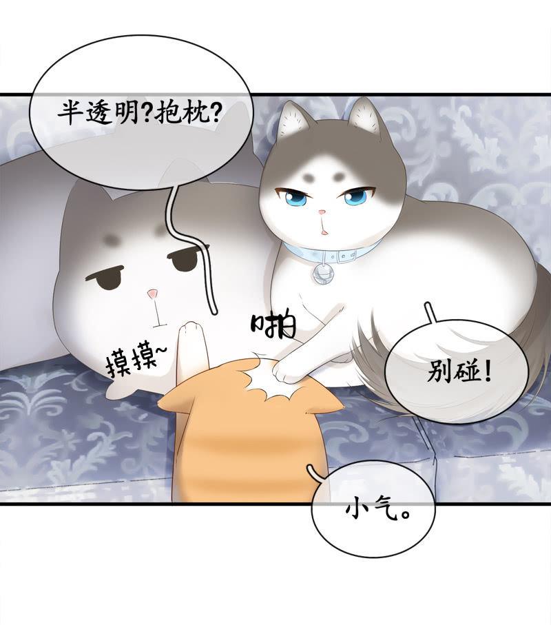 喵咪同伴出现啦~(1/2)-第15话