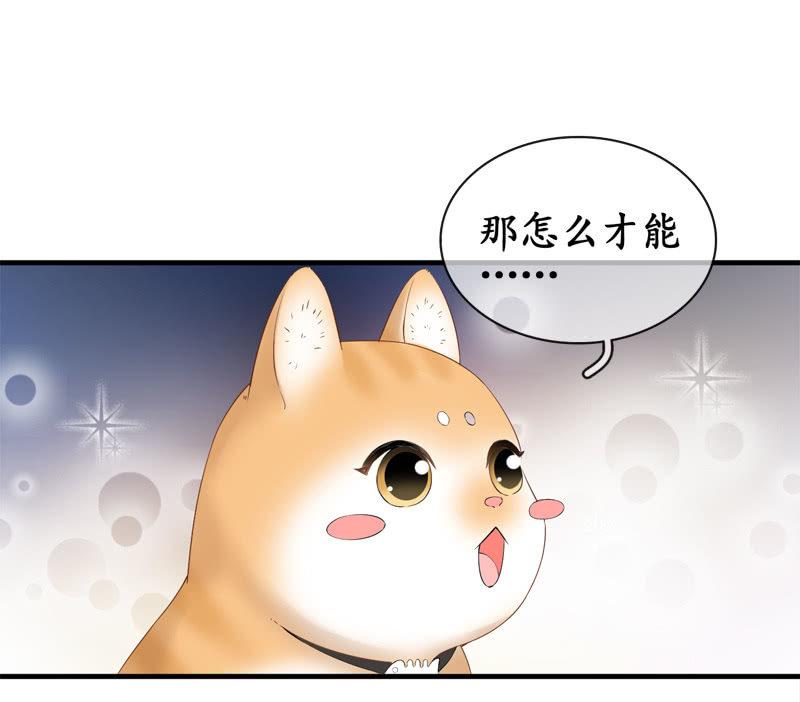 喵咪同伴出现啦~(1/2)-第15话