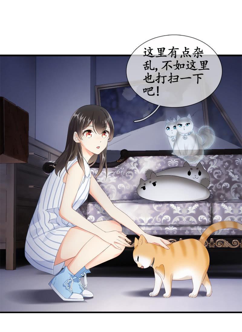 喵咪同伴出现啦~(1/2)-第15话