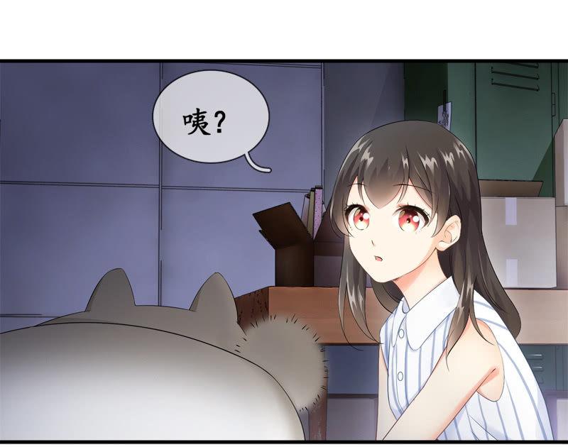 喵咪同伴出现啦~(1/2)-第15话