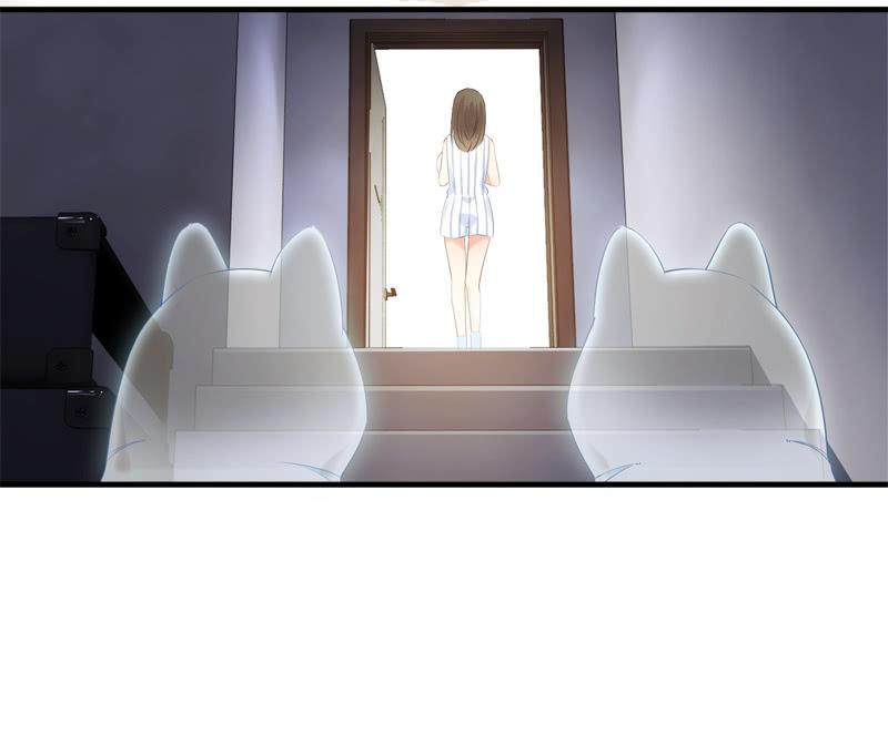 喵咪同伴出现啦~(1/2)-第15话