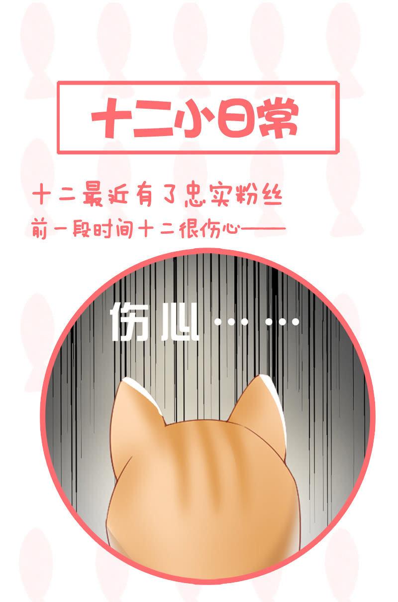 喵咪同伴出现啦~(1/2)-第15话