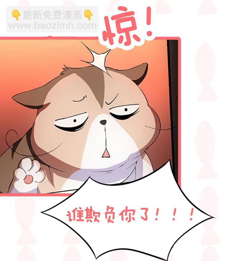 喵咪同伴出现啦~(1/2)-第15话