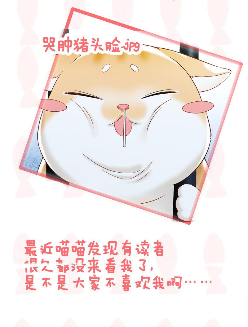 喵咪同伴出现啦~(1/2)-第15话