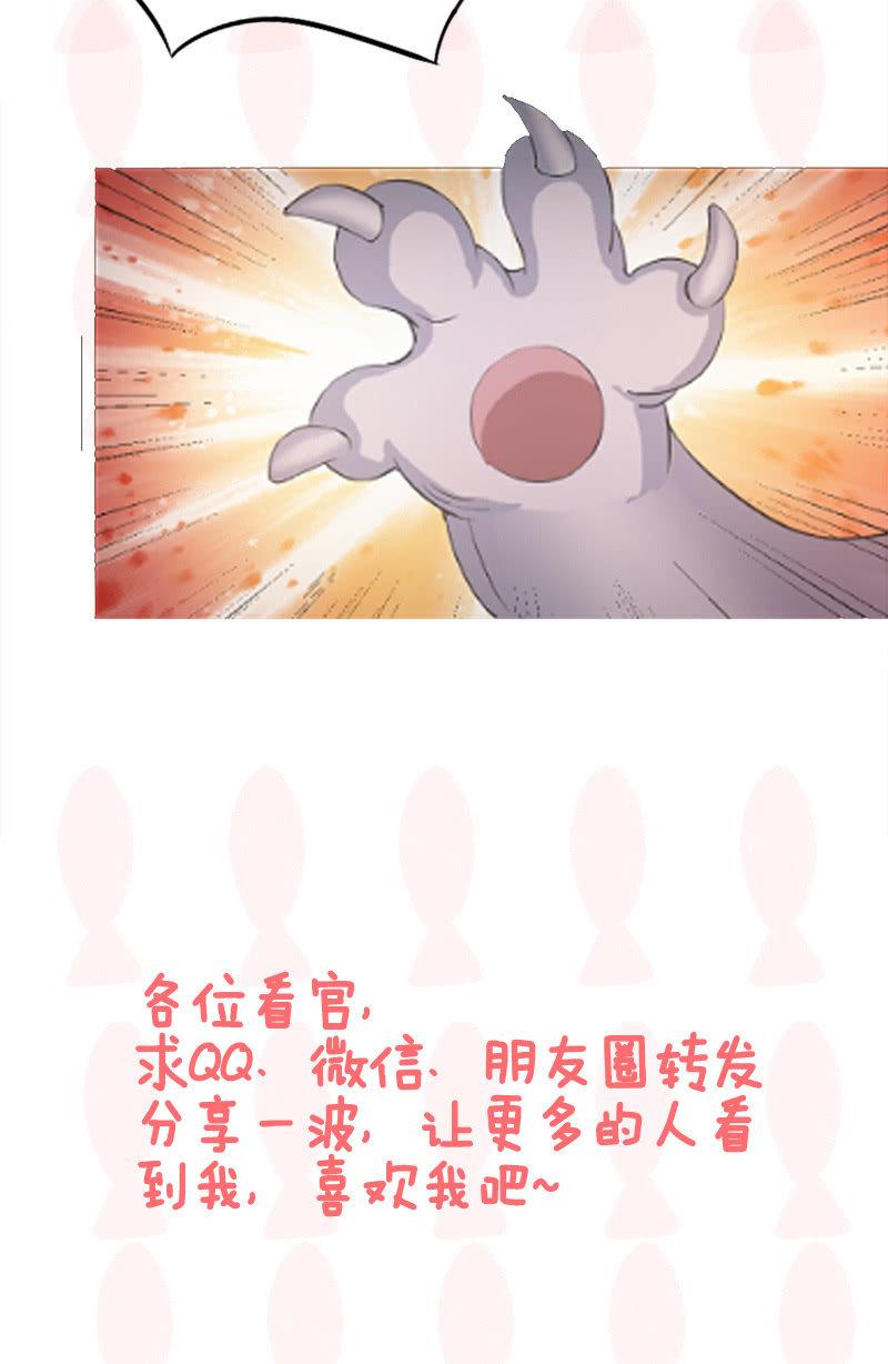 喵咪同伴出现啦~(1/2)-第15话