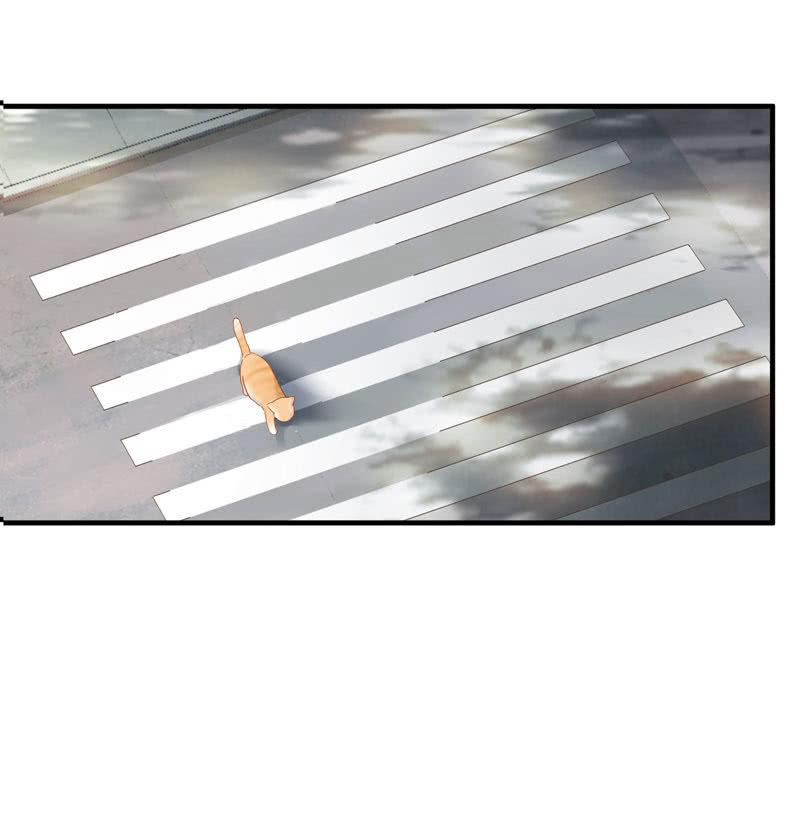 主人在哪里啊？(1/2)-第3话