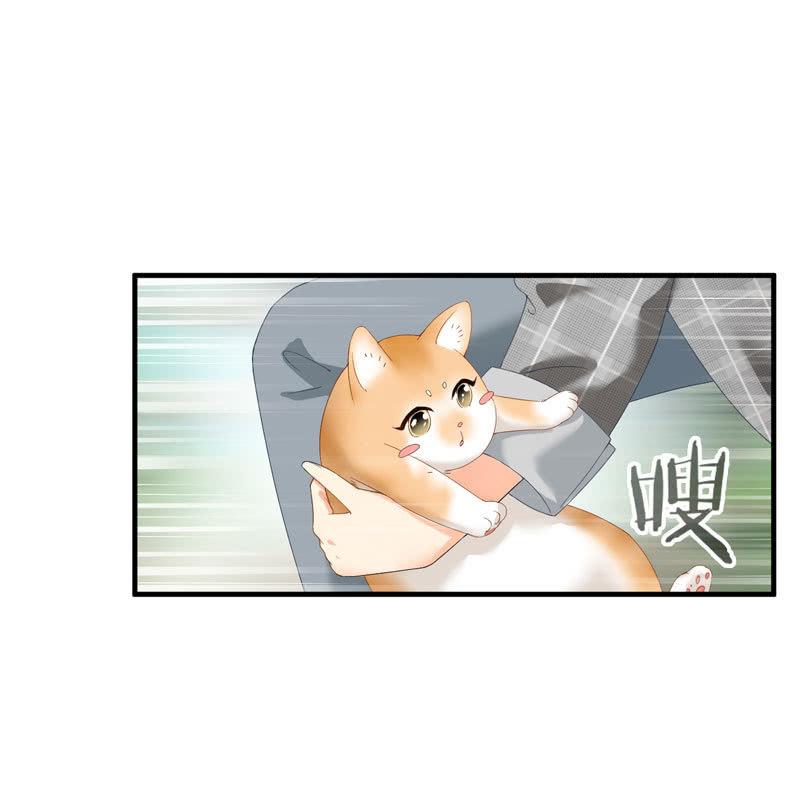 主人在哪里啊？(1/2)-第3话