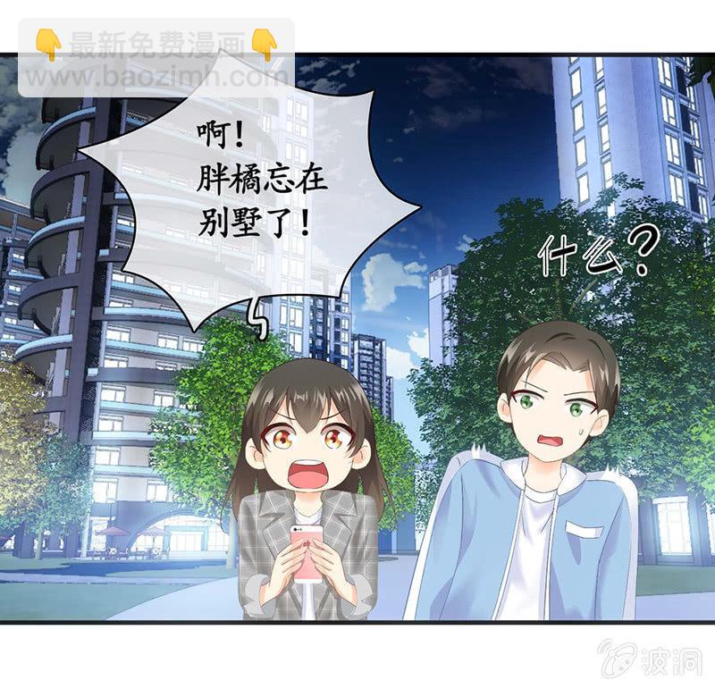 猫咪神助攻来也！！！(1/2)-第25话