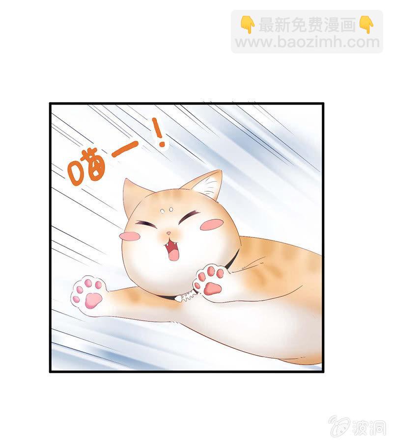 猫咪神助攻来也！！！(1/2)-第25话