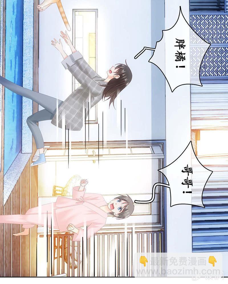 猫咪神助攻来也！！！(1/2)-第25话