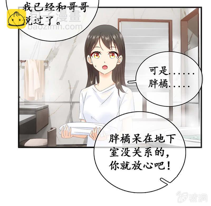 猫咪神助攻来也！！！(1/2)-第25话