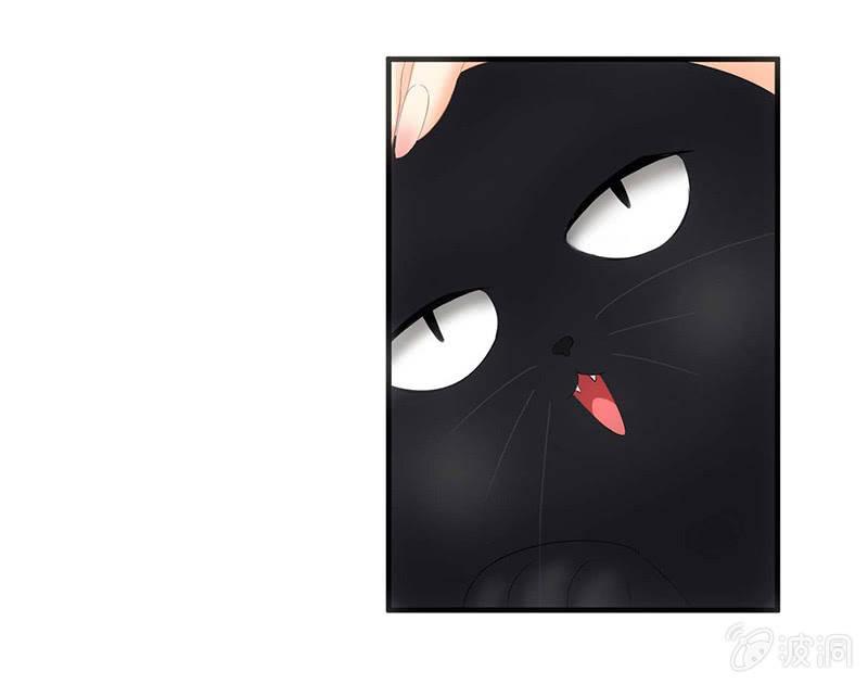 猫咪神助攻来也！！！(1/2)-第25话