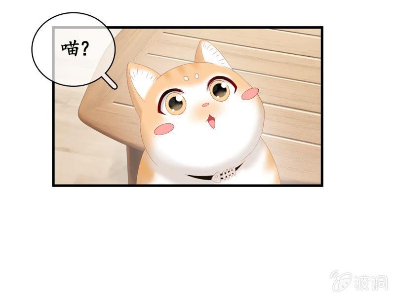 江南我回来了！(1/2)-第35话