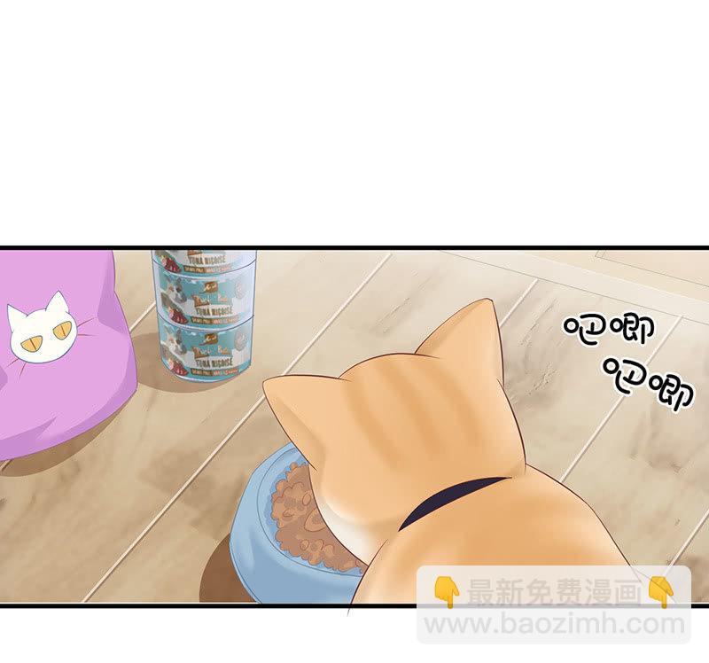 撩妹需要有技能！！-第43话