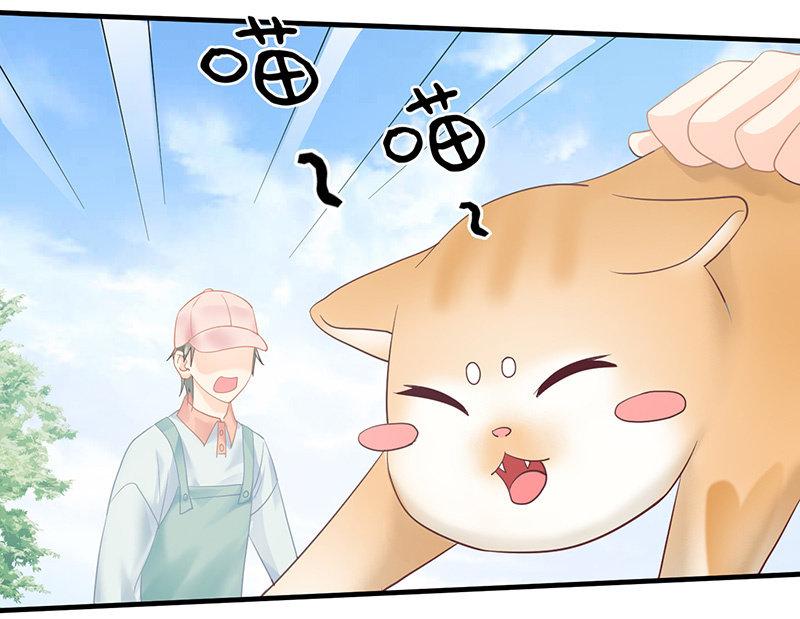 撩妹需要有技能！！-第43话