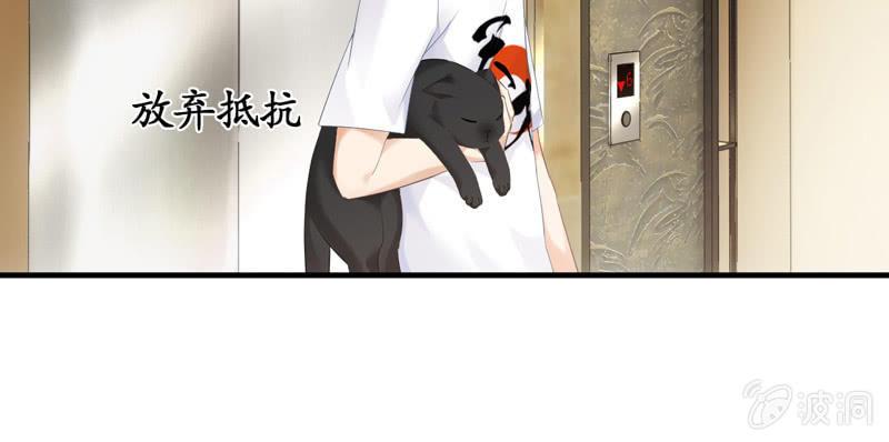 纠结的心情(1/3)-第65话