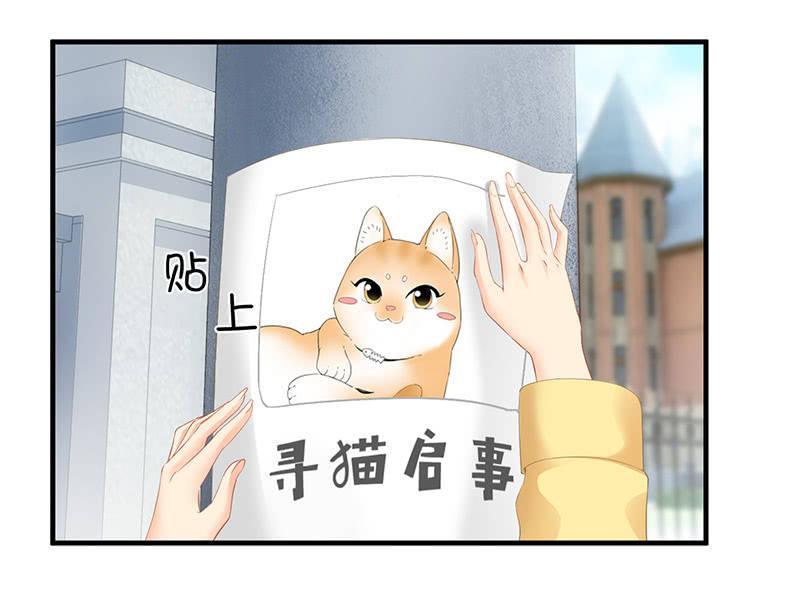 多出个儿子啦！！！-第71话