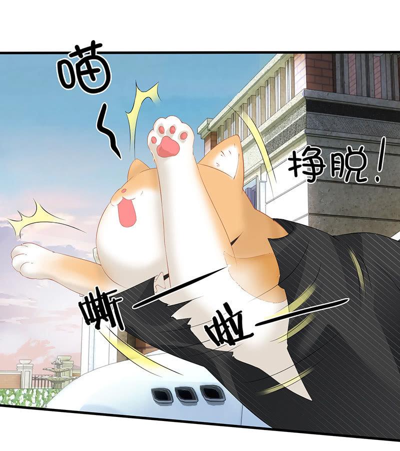 多出个儿子啦！！！-第71话