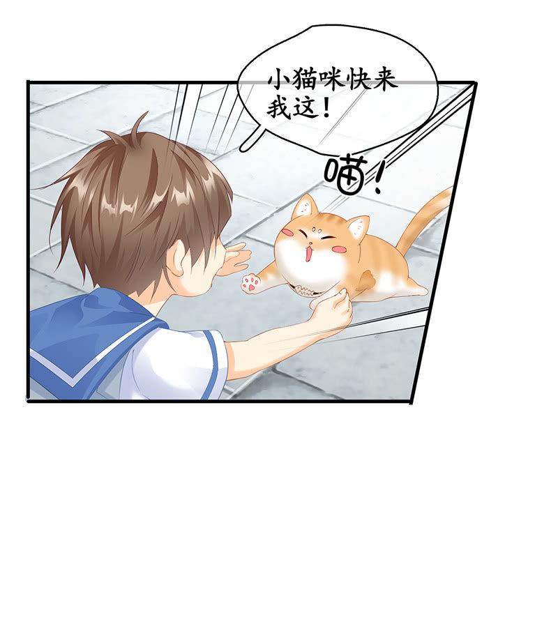 多出个儿子啦！！！-第71话