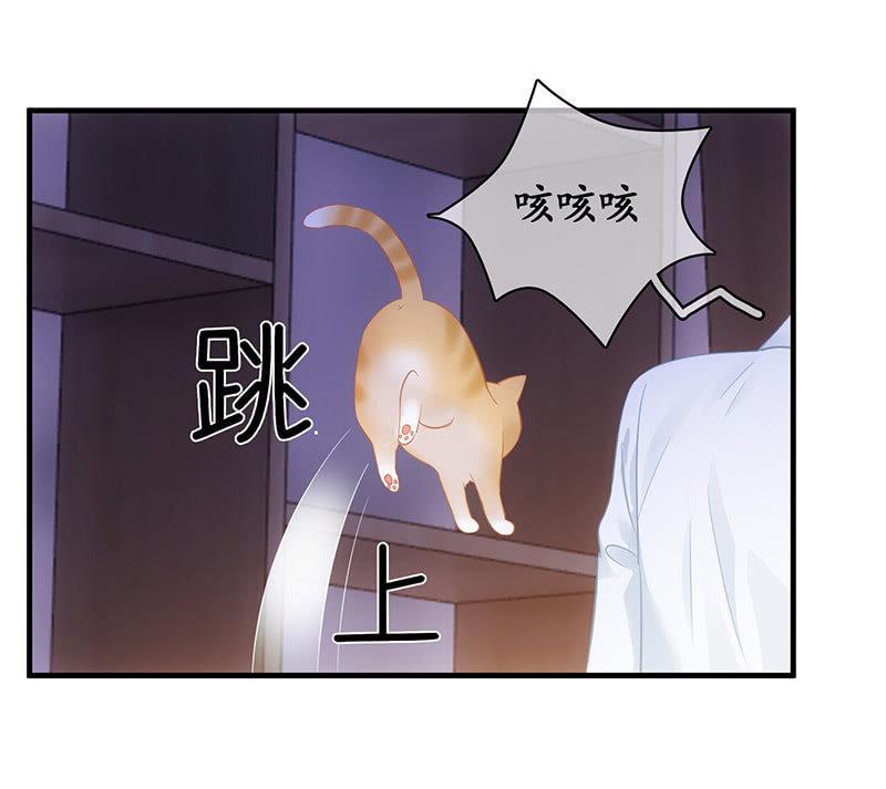 十二少女星·川溪入梦 - 答案揭晓 - 2