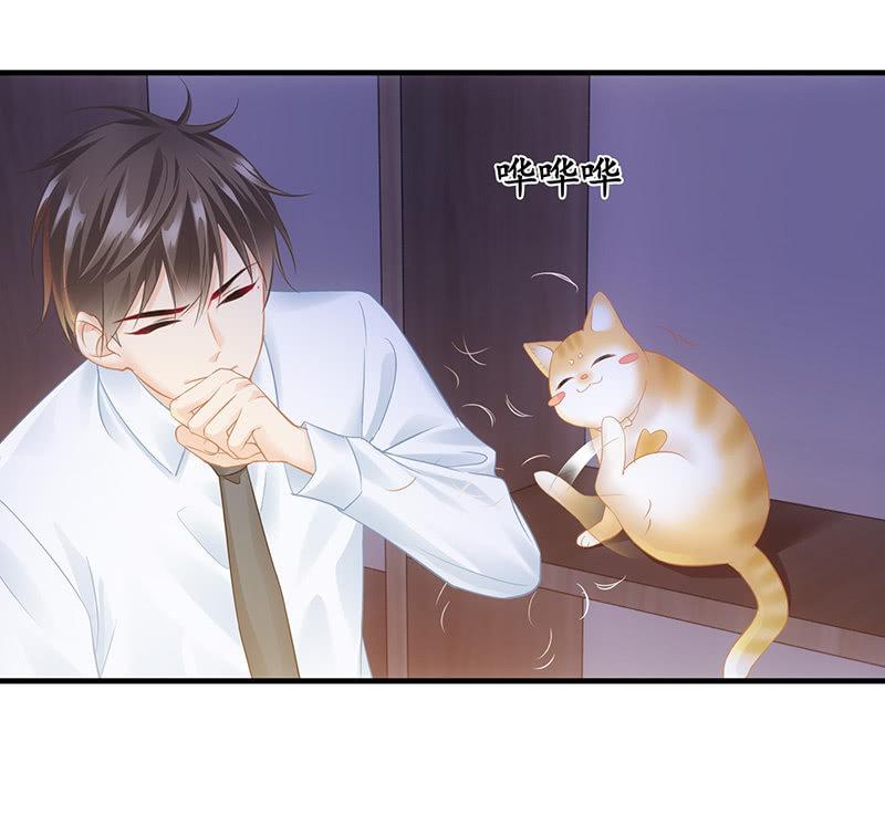 十二少女星·川溪入梦 - 答案揭晓 - 3