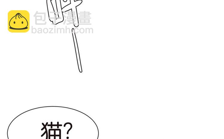 第39章 我挺喜欢小动物的(1/2)-第39话