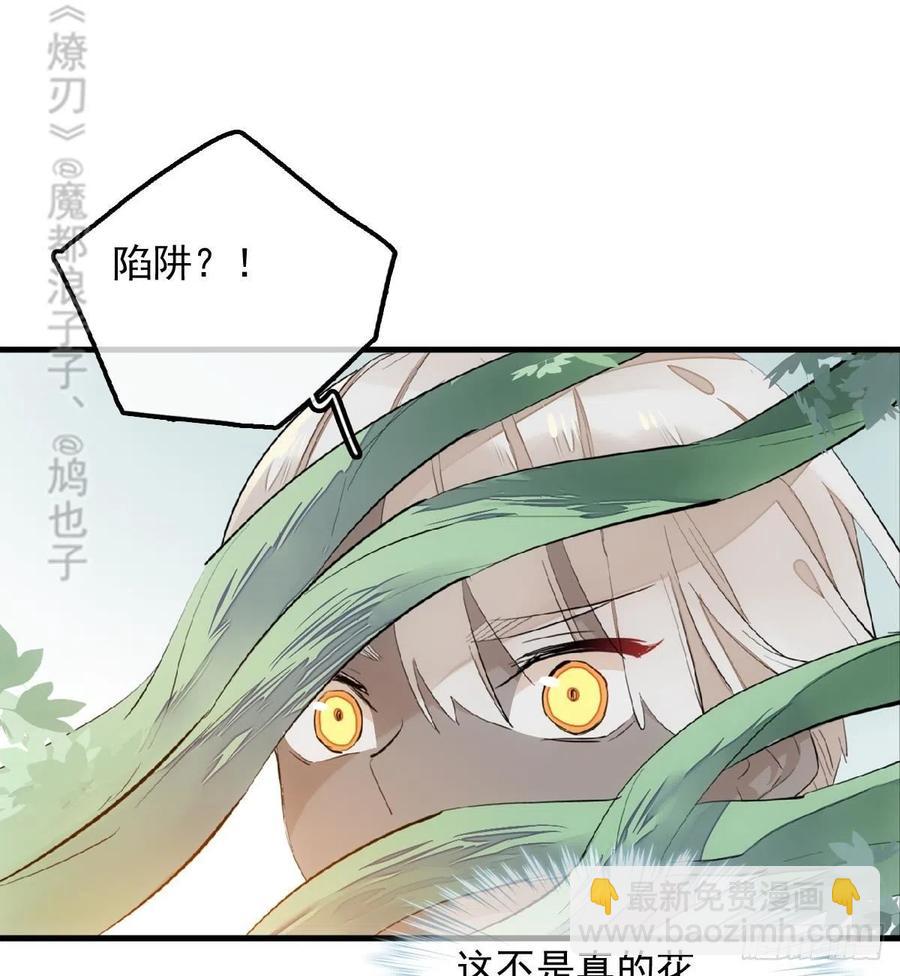 師父又在撩我（燎刃） - 191 用我一生治癒你 - 5