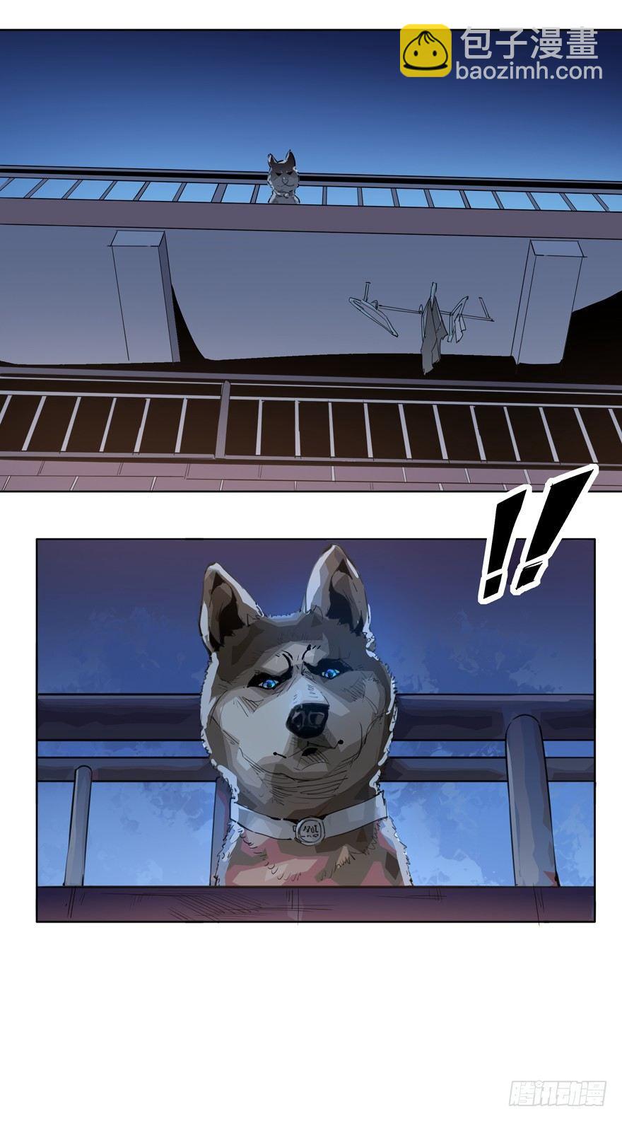 我养你，你养狗-第7话