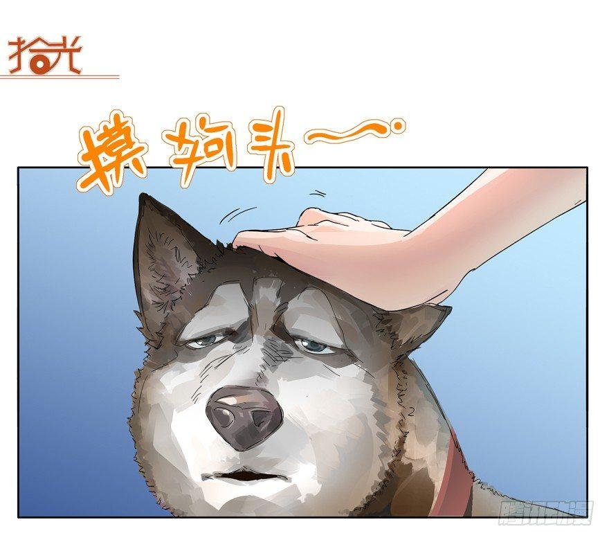 我养你，你养狗-第7话