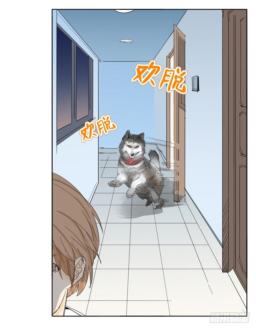 我养你，你养狗-第7话