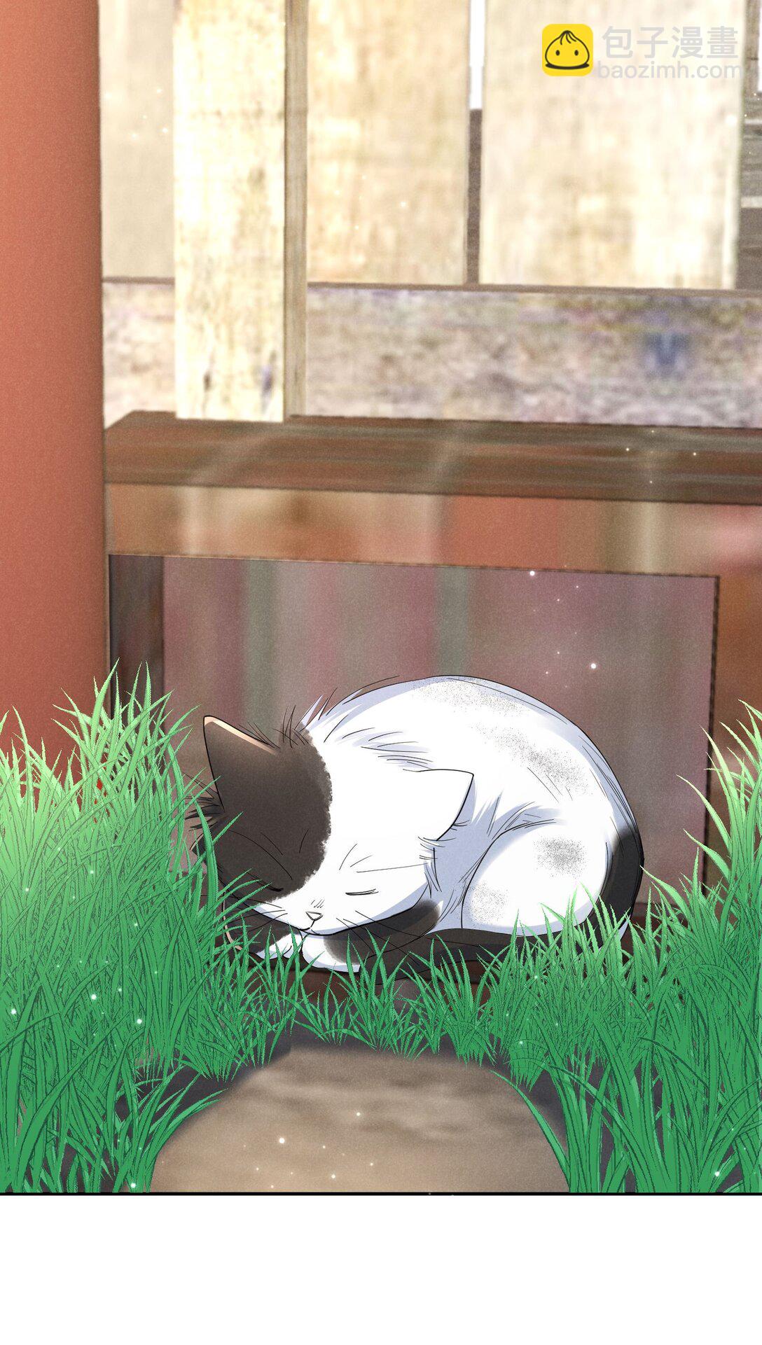 018 曙光(1/2)-第19话