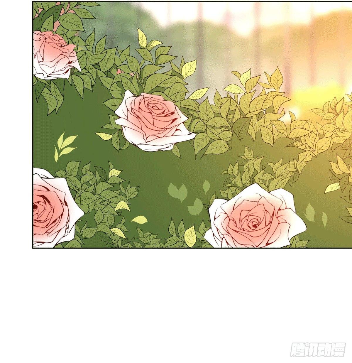 第二十七话 宣布复出(1/2)-第75话