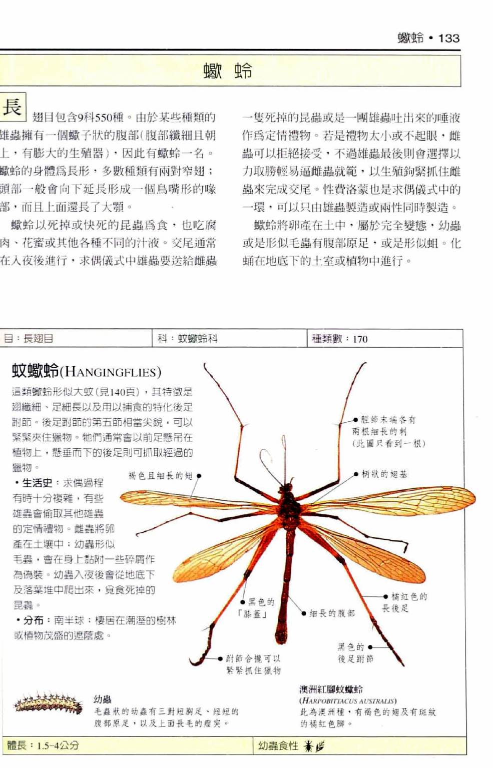 世界昆蟲圖鑑 - 全一卷(3/7) - 6