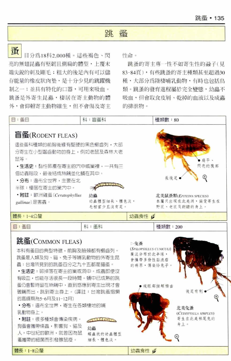 世界昆虫图鉴 - 全一卷(3/7) - 8