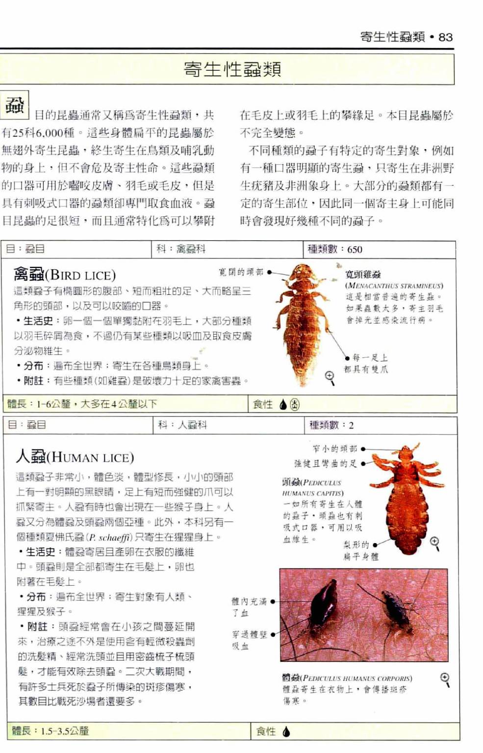 世界昆蟲圖鑑 - 全一卷(2/7) - 6