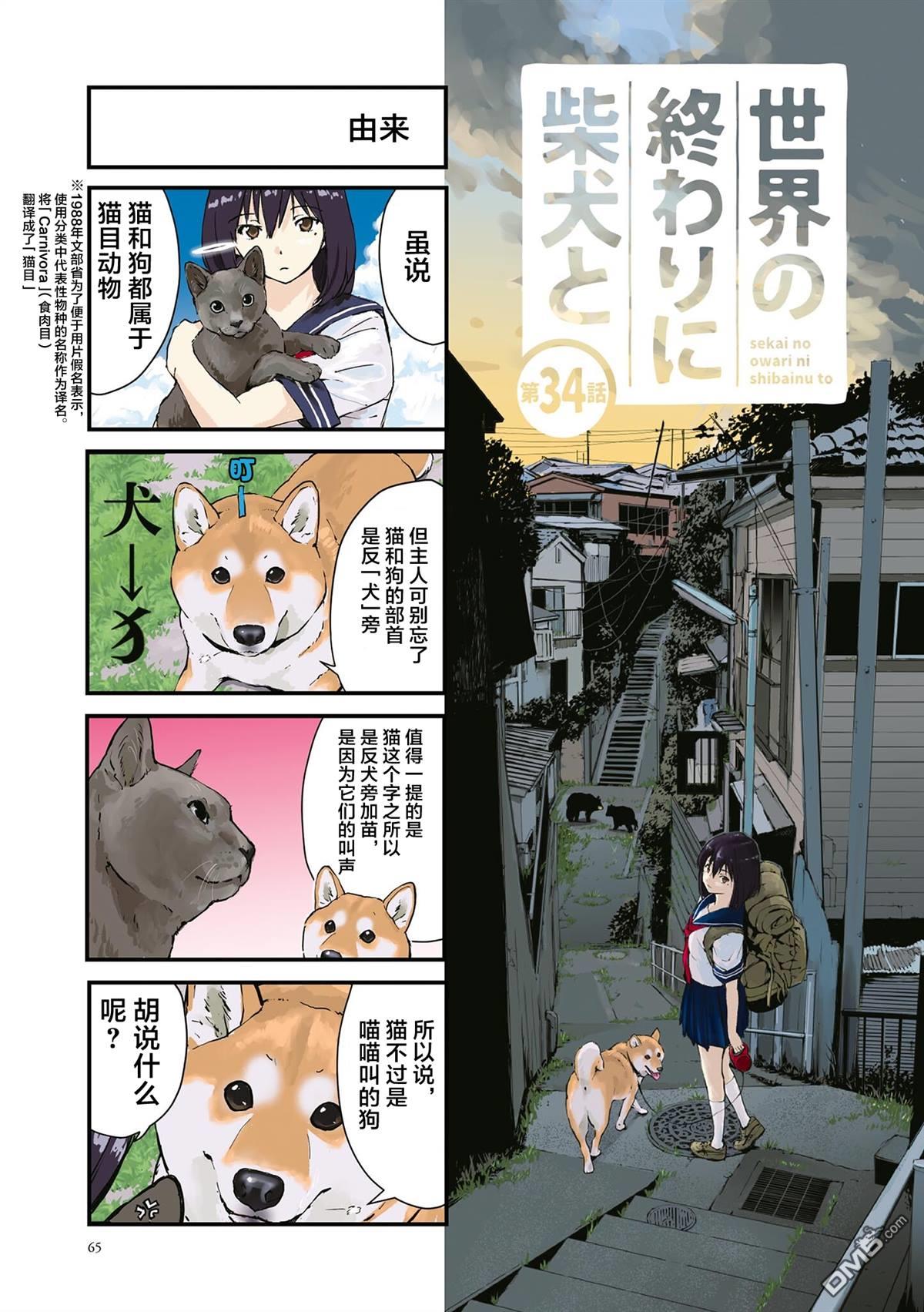 世界末日柴犬爲伴 - 第34話 - 1