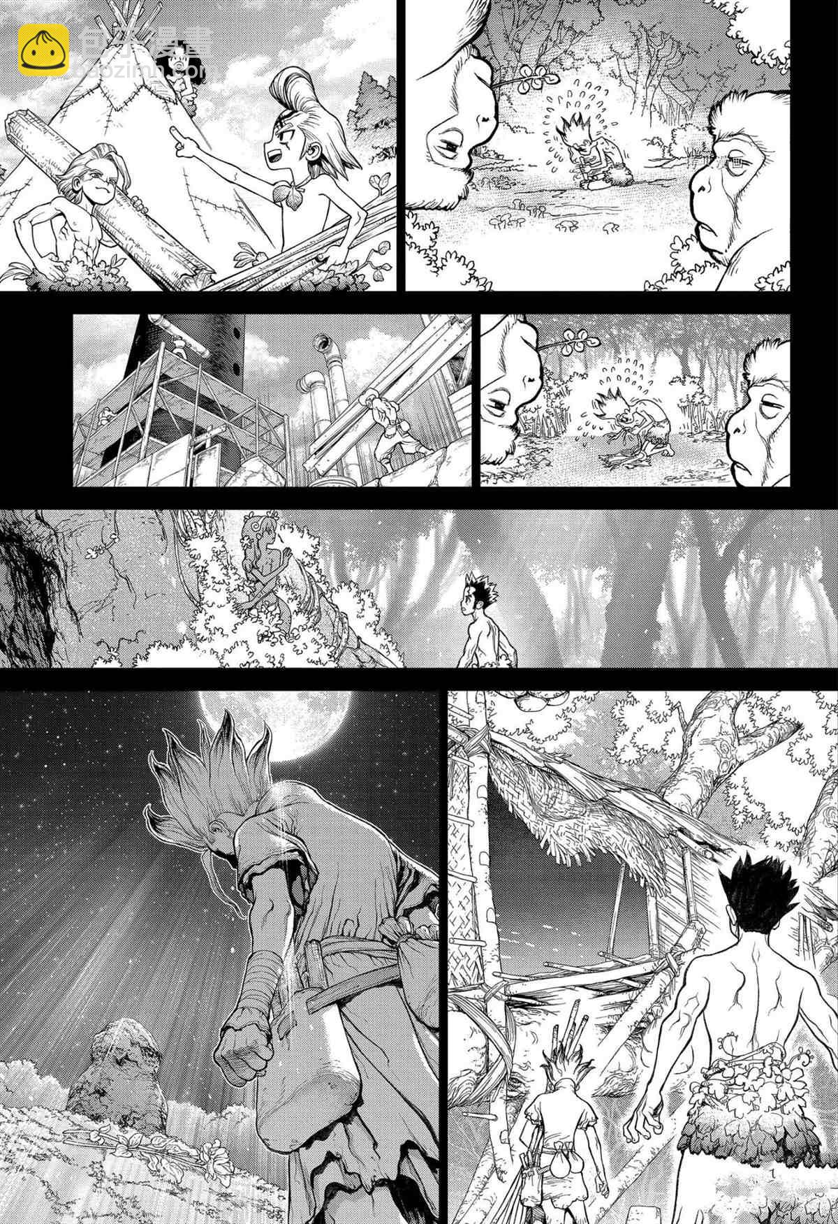 石纪元（Dr.Stone） - 第229话 - 3