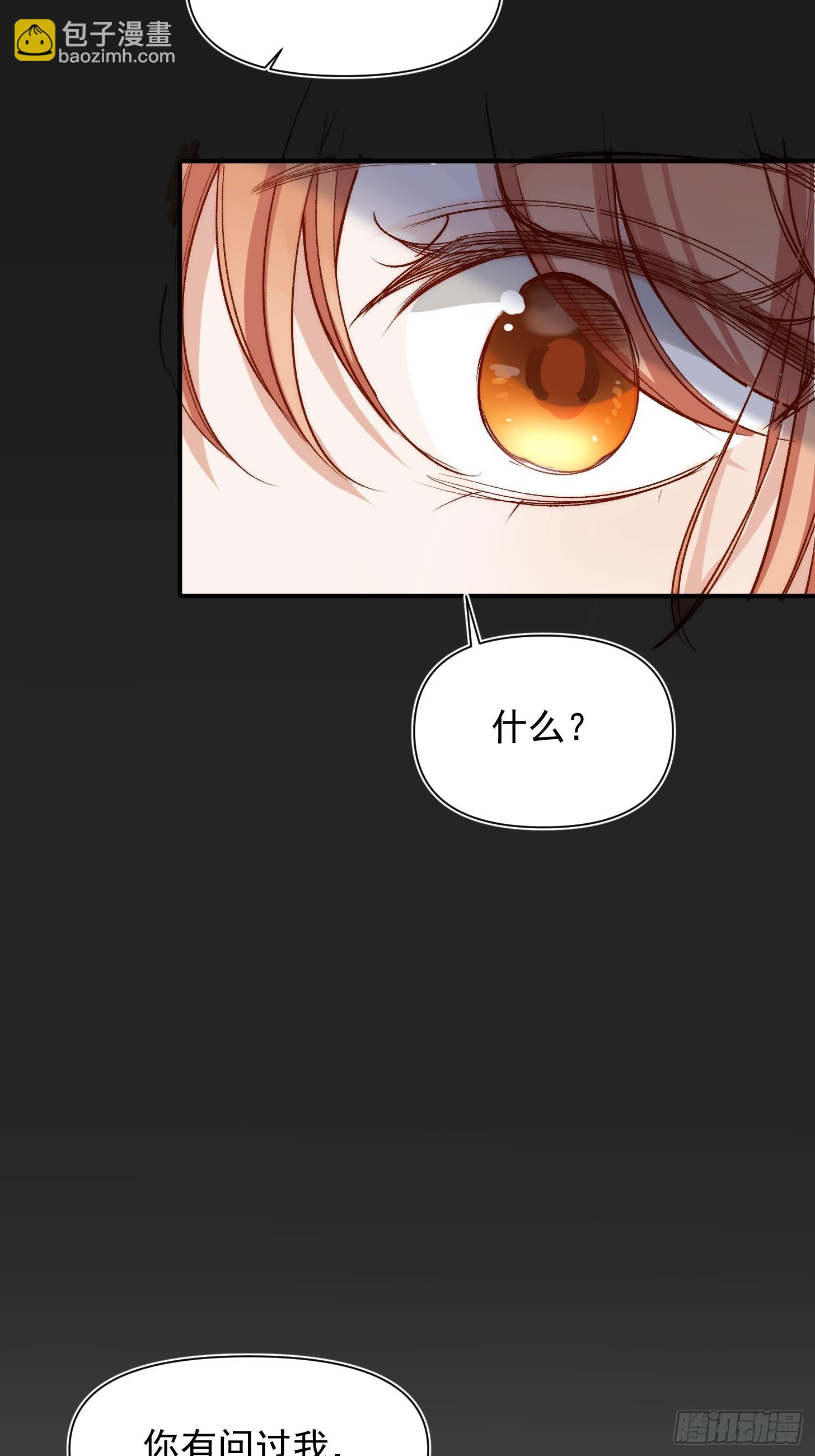 第41话 你问过我的意见吗-第43话