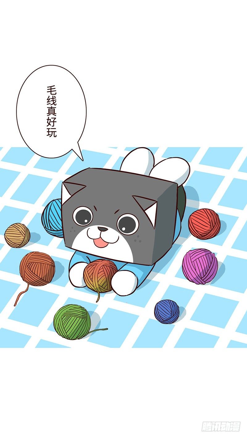 毛线-第37话