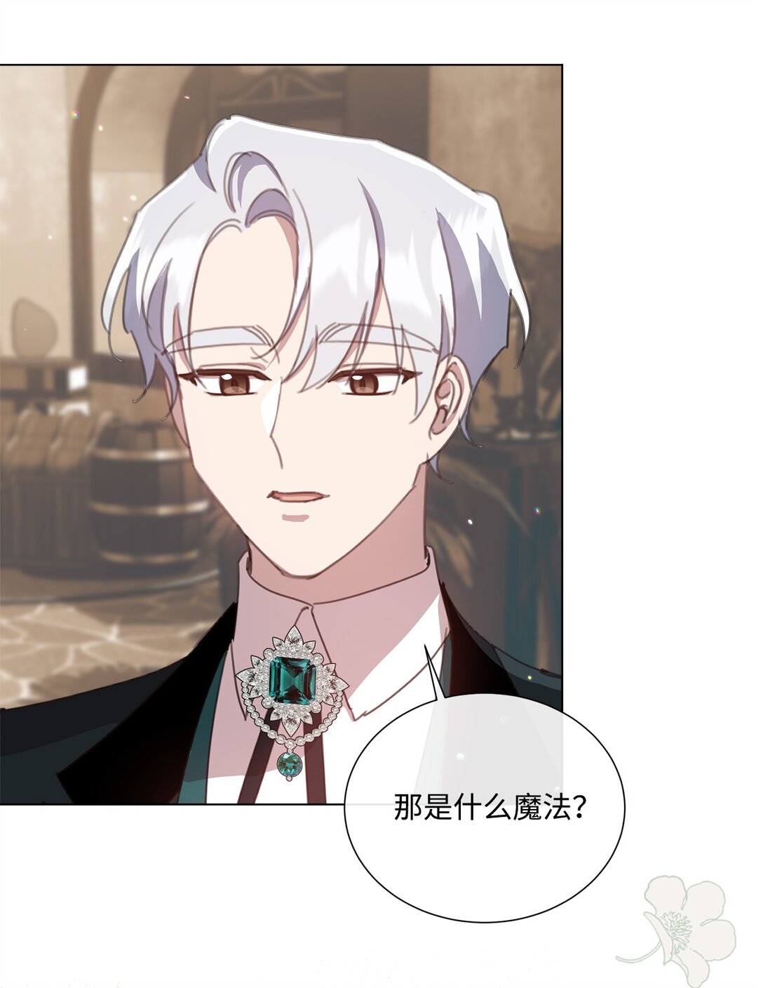 41 魔法戒指(1/2)-第41话