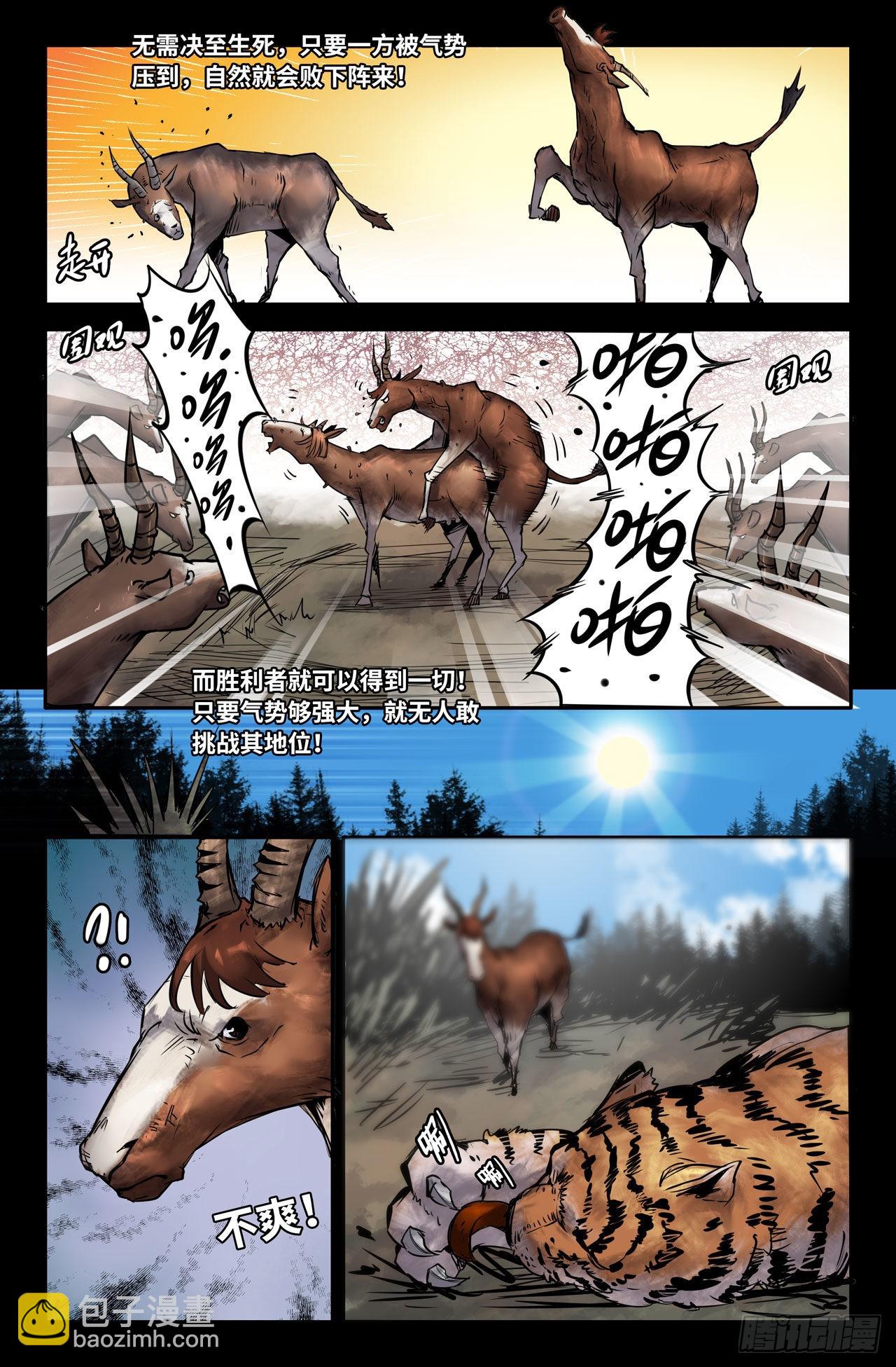 5.jpg
