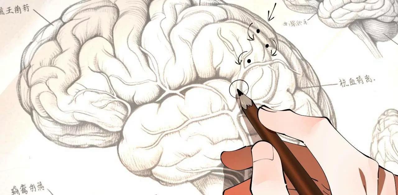 史上最強贅婿 - 341 	寧元憲腦梗！(2/3) - 2