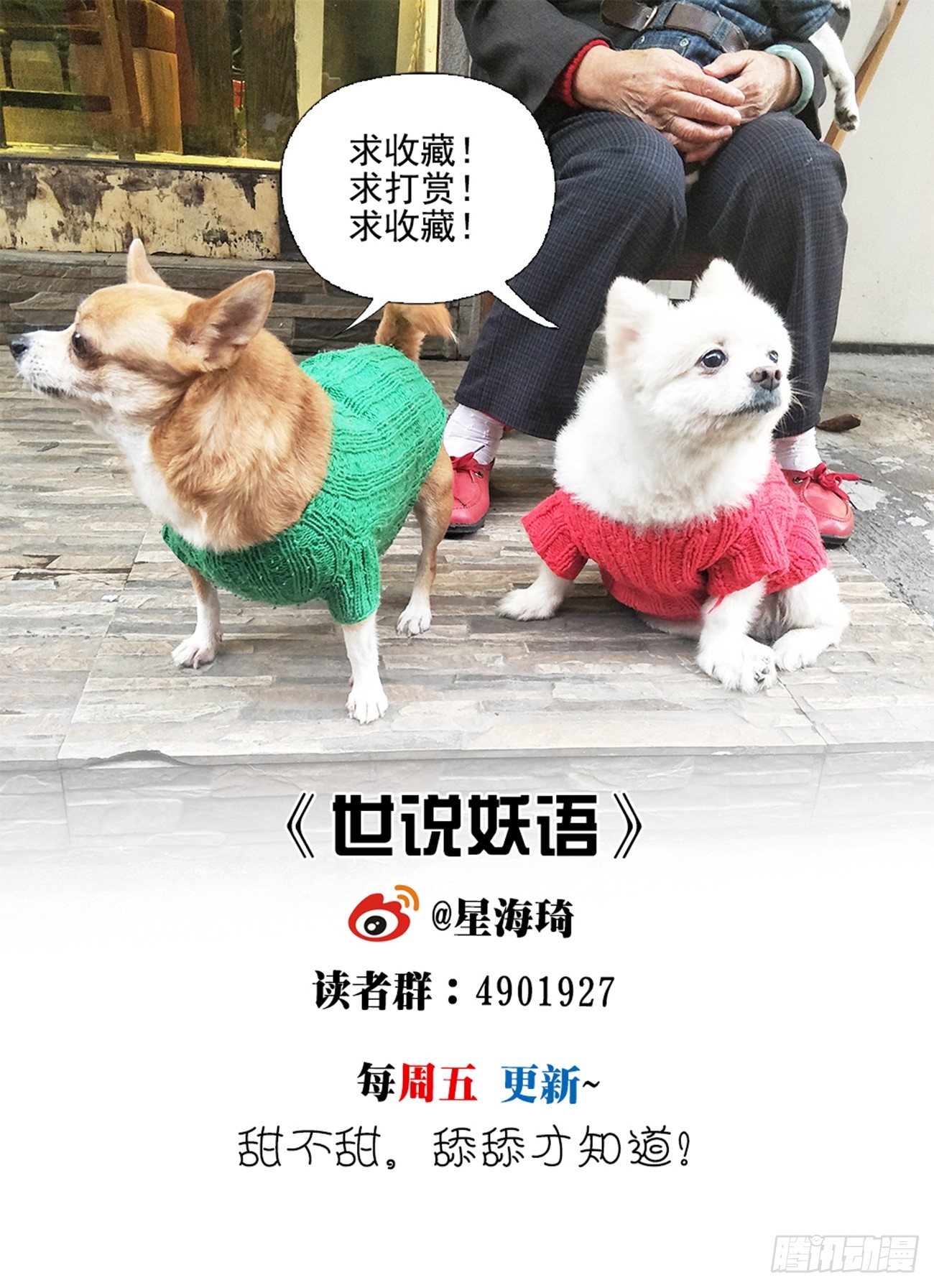 第五话 发现真龙-第5话