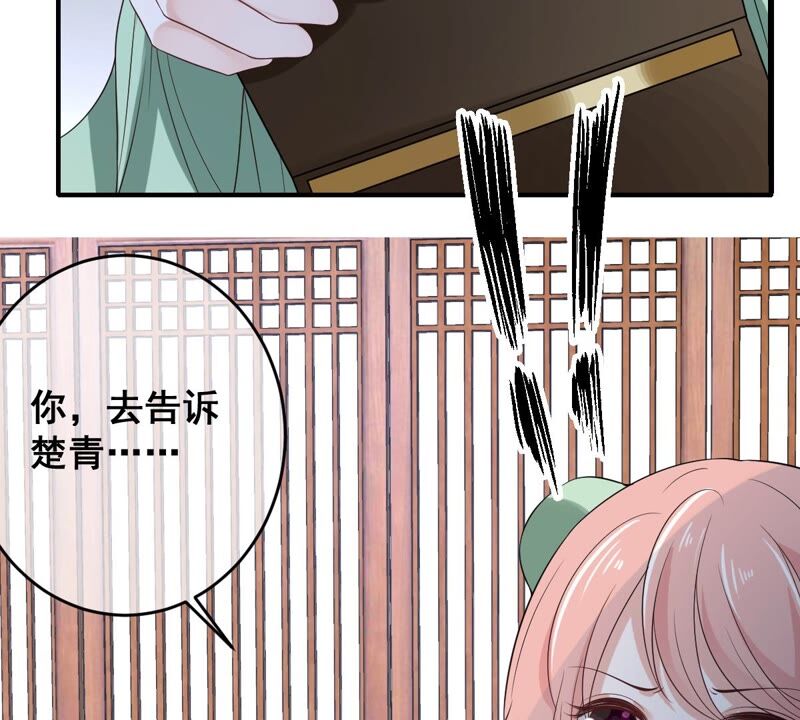 世無良貓 - 第186話 桃桃的生活(2/2) - 1