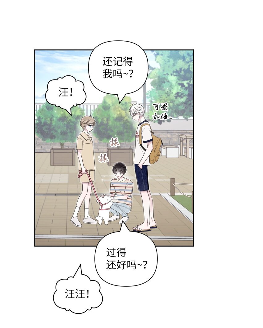 42 坦白(1/2)-第43话